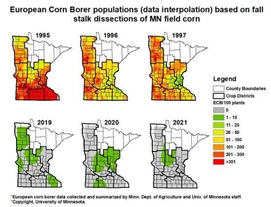Figure 1.  Historical overwintering fall ECB populations (1995-1997) comparing a pre-Bt era infestation peak (1995), with the early years of commercialization (1996-1997), and with recent years (2019-2021). Source: UMN Extension IPM Program