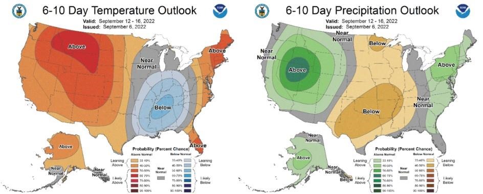 Figure 3) Climate Prediction Center 6-10 Day Outlook valid for September 12 – 16, 2022, for left) temperatures and right) precipitation. Colors represent the probability of below, normal, or above normal conditions.