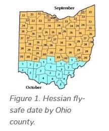 Figure 1. Hessian fly-safe date by Ohio county