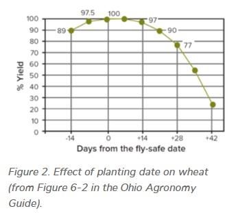 Figure 2. Effect of planting date on wheat (from Figure 6-2 in the Ohio Agronomy Guide)