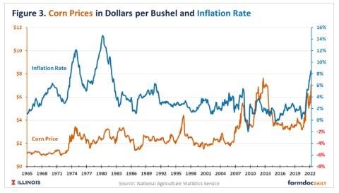 Inflation and Changes in Long-Run Prices