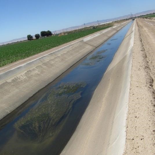 Weed growth in a cement-lined irrigation canal near Tulare