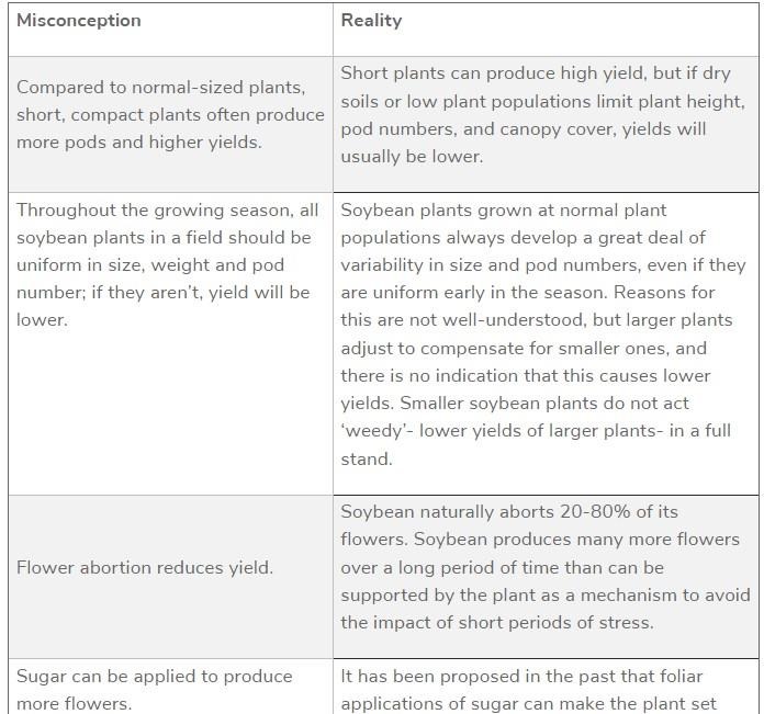 Misconceptions at the R1-R2 growth stage