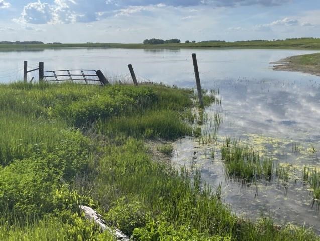 The impact of recent storms can be seen in the water level on this Campbell County farm property just east of Herreid on June 8. Photo: Stu Whitney, South Dakota News Watch