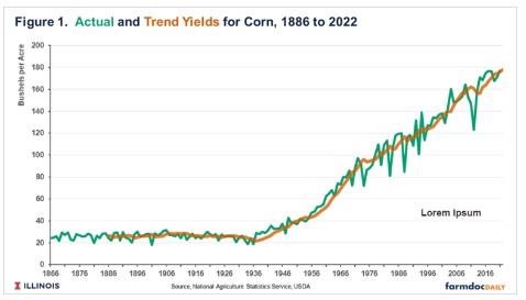 Corn Yields