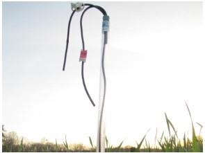 A tension lysimeter among multi-species cover crop in early spring. This device allows researchers to collect and analyze subsurface water to see how much nitrogen it contains. Excess nitrogen in water stimulates the production of weeds and algae and affects oxygen levels, which can be harmful to aquatic life