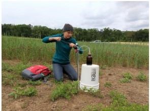 Shelly Porter, undergraduate research assistant, applies a vacuum to a tension lysimeter to sample water leached during the previous 24 hours. The sample includes water and dissolved nutrients that had already drained below the crop rooting depth, which would eventually end up in groundwater and then the Chesapeake Bay. The use of cover crops helps keep nitrogen out of groundwater