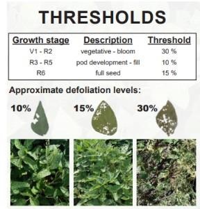 A visual guide to defoliation is useful because it is very easy to over-estimate defoliation in soybean