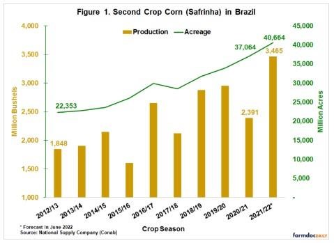 comparison between last year’s safrinha, affected by severe drought, and this year’s expected crop