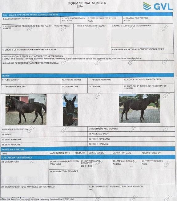 This is an example of a Coggins test. Key information on this document includes information on (location, identifiable markings, breed, etc.) the owner of the horse, the horse, the veterinarian who drew blood for the test, the lab that performed the test, and test details and results. This document is needed to prove your horse is negative for EIA