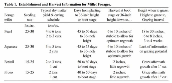 Seed Forages
