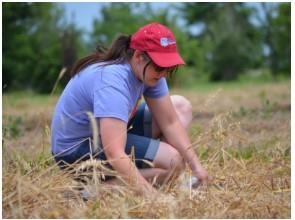 Cathryn Davis measuring infiltration rates in an oat cover crop during her MS research published in this paper