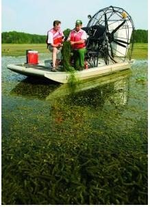 Army Corps scientists have historically been located at the Waterways Experiment