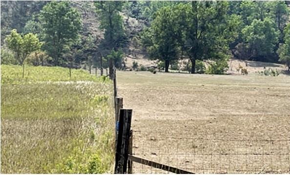 On the right side of the fence, a severely overgrazed and degraded pasture with little to no standing forage. On the left side of the fence, leafy spurge, a noxious weed, has moved in from the neighboring disturbance