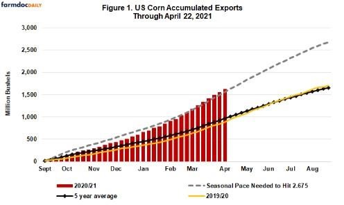Corn Export Summary