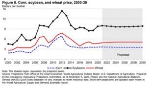 Corn and Soybean Projections