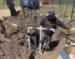 A drip irrigation system is installed at a new vineyard at the UC Davis Oakville Station