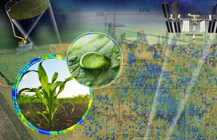 Using satellite-based sensor, a research team headed by agronomy professor Brian Hornbuckle aims to estimate the water content of plants in fields across the Corn Belt. Photos courtesy of NASA and Brian Hornbuckle. 