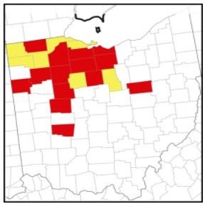 Ohio Tar Spot Map