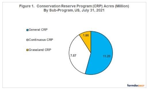 Conservation Reserve Program