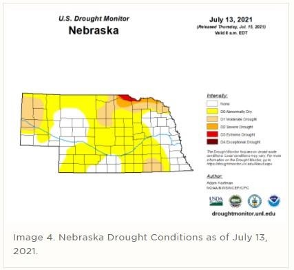 Drought Considerations