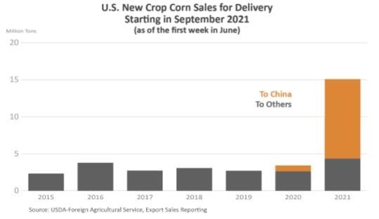 Stacked column chart showing new September corn sales from the U.S. over the past seven years.  In 2020, most of those sales went to China. 