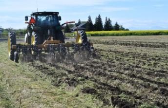 Reduced disturbance strip-tillage ahead of planting into mowed cover crop
