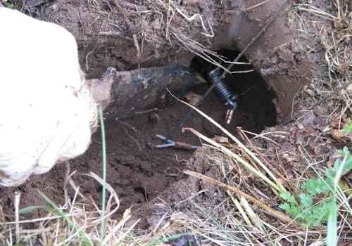 Traps are an important tool for rodent management on organic farms