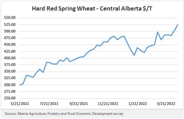 Hard Red Spring Cash Prices – Central Alberta