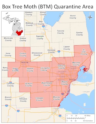 MDARD Expands Box Tree Moth Quarantine to 12 Southern Michigan Counties ...