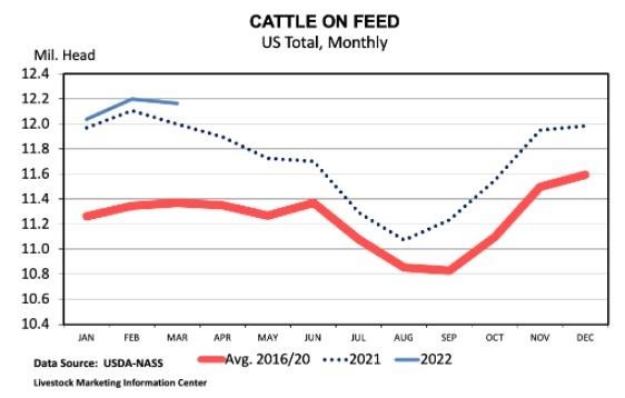 cattle-on-feed