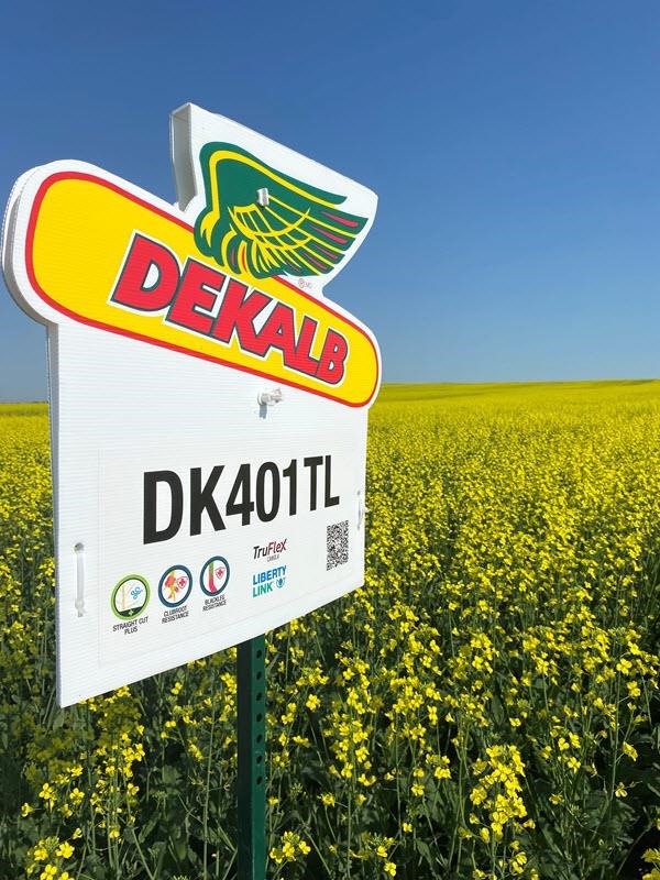 DK401TL canola