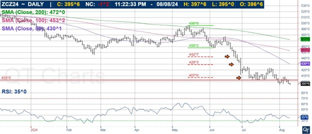 December 2024 Corn Futures Daily Chart