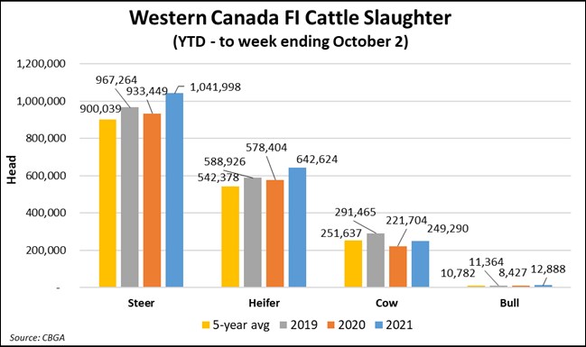Western Canada federally inspected (FI) cattle slaughter