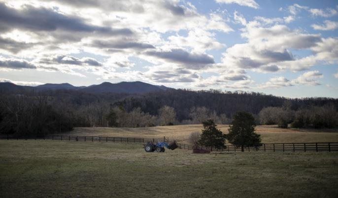 The amount of solar capacity that's expected to be added in the U.S. this year from big power plants is more than double the current record, says the U.S. Energy Information Administration. All that growth means local land-use fights will keep flaring up.