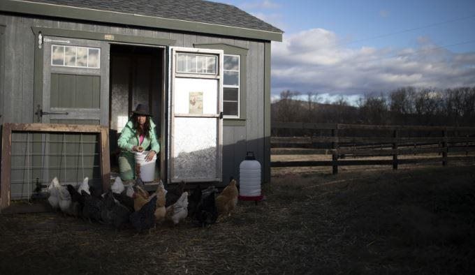 Susan Corbett was thrilled when a solar company showed up in Page County looking for places to build. "I thought, 'What a great opportunity for a lot of the struggling farmers around here to have that income coming in and be of some benefit to everybody,'" says Corbett, who owns River's Bend Ranch. "Well, that was not the way it was received."