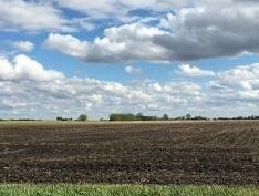 Farmers Are Asking: How Much Nitrogen Is Left?