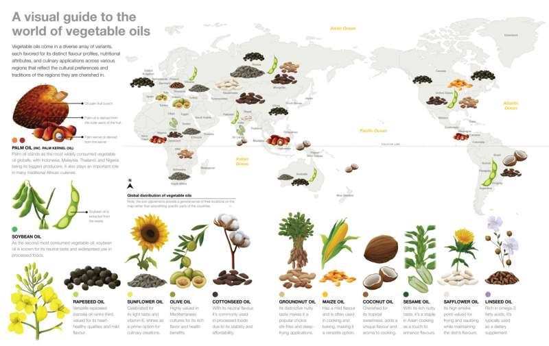 Demand for vegetable oils is growing rapidly. In 2021, 252 million tons of oil were produced for a population of nearly 8.5 billion people.