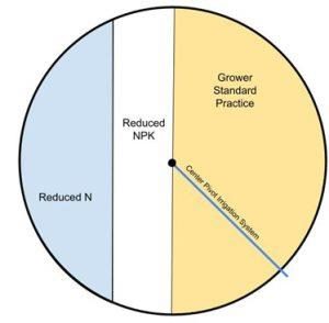 Figure 1: Field map of the Levy County on-farm demonstration site. The map shows the location of all 3 treatment areas relative to the position of the center pivot irrigation system.