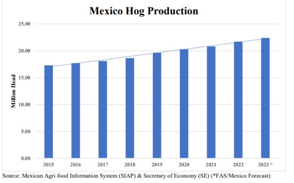 Mexican Hog Production