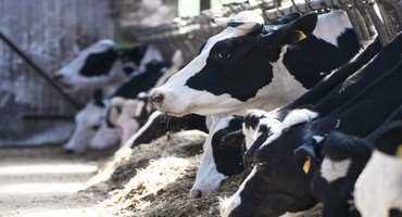 Vilsack tells House committee NAFTA is essential to U.S. Dairy Export Competitiveness