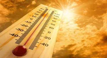 Gardeners Must Take Precautions To Avoid Heat-Related Illnesses