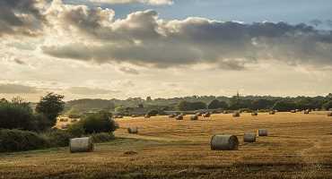 Saskatchewan farmers worry about hay shortage