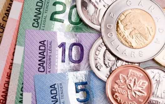Ontario minimum wage increase is ‘scaring everybody’: Ottawa-area farmer