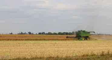 Farmers Reminded To Keep Grain Clean This Harvest