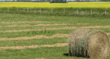   Driest Year Since 1984; Saskatchewan Expects Plenty Of Crop Insurance Claims