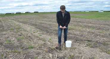Planning Your Wheat Fertility Program: Start Now By Soil Testing