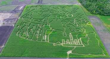 Manitoba corn maze lets people get lost in Canada
