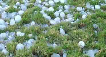  Hail Claims For Crop Damage Down In Saskatchewan
