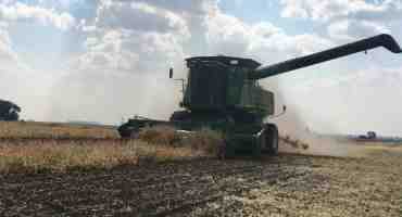  Dry Bean Harvest Hits Midway Mark
